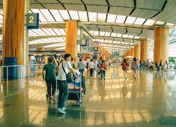 Immigration consultancy